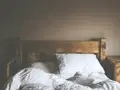 ¿Cómo deshacerse de las chinches de cama?