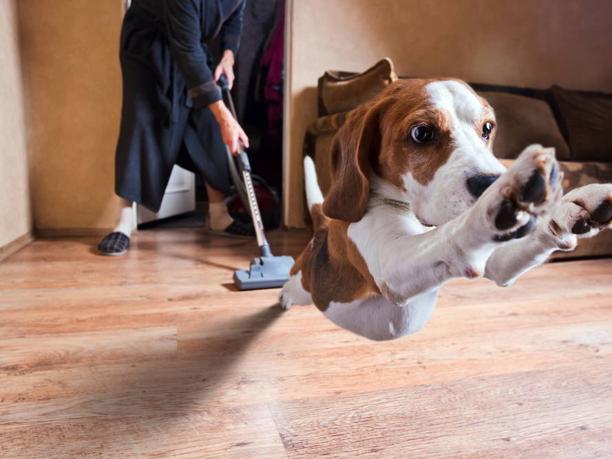 ménage, printemps, conseils