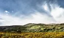 Practicing Collaborative Consumption in Ireland