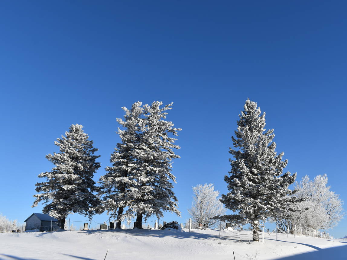 le meilleur mois pour mettre son bien immobilier en location