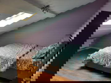 Shared Accommodation Mons 268755-6