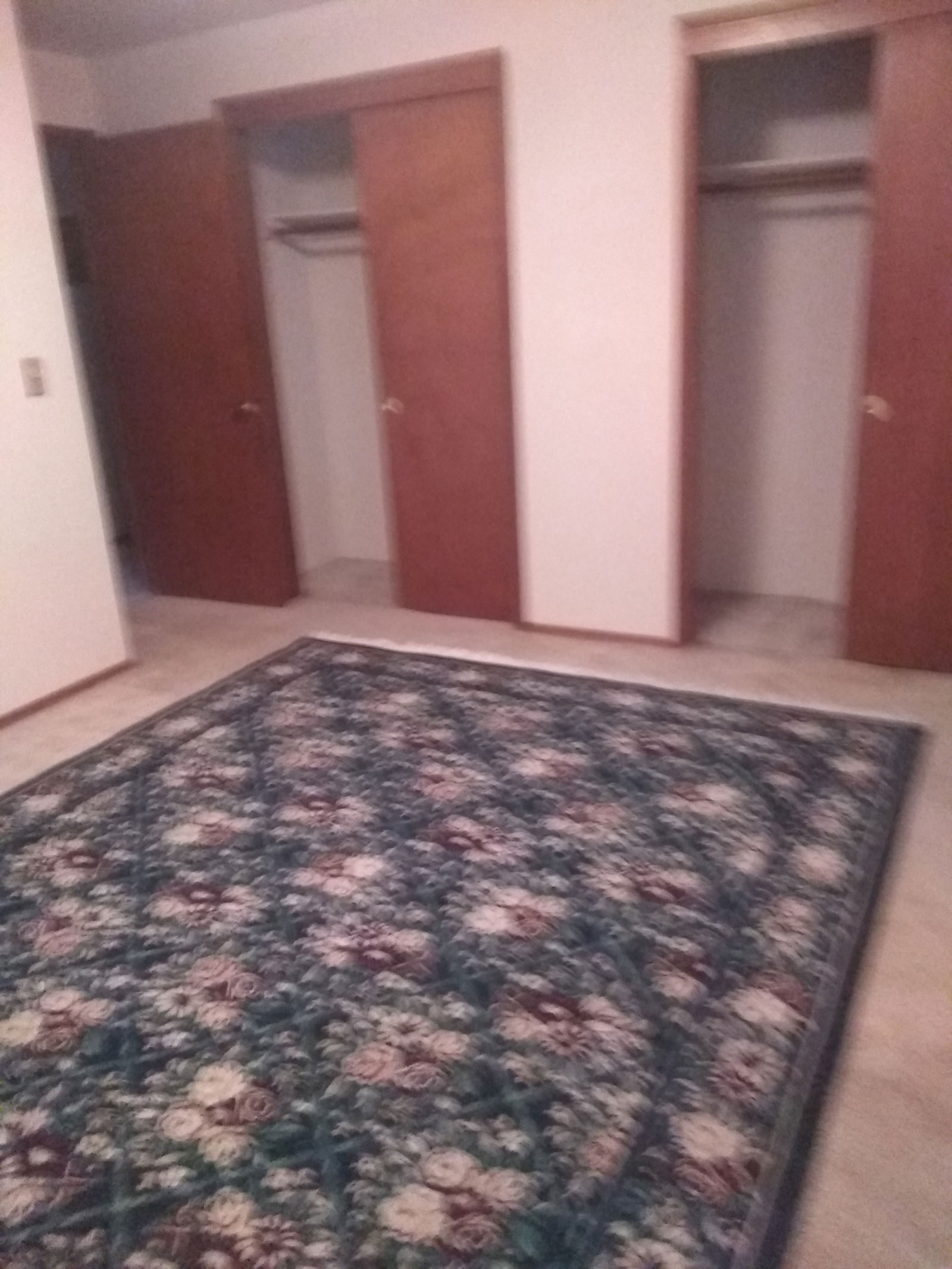 Quedarse En Casa Shoreline 223435