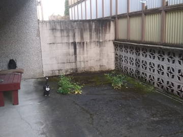 Chambre Chez L'habitant Shoreline 223435-4