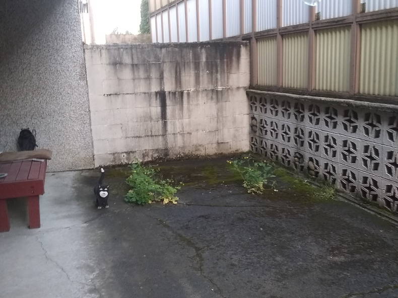 Gastfamilie Shoreline 223435-4