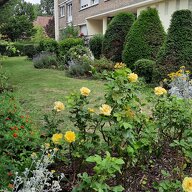 Colocation La Madeleine 257261