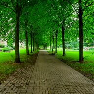 Colocation La Madeleine 257261