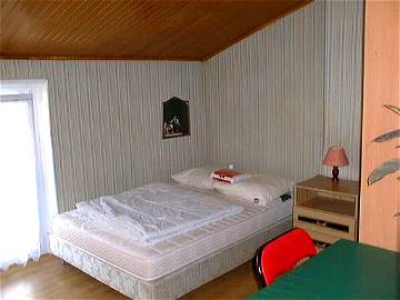 Roomlala | 1 Bedroom In The Hypercenter