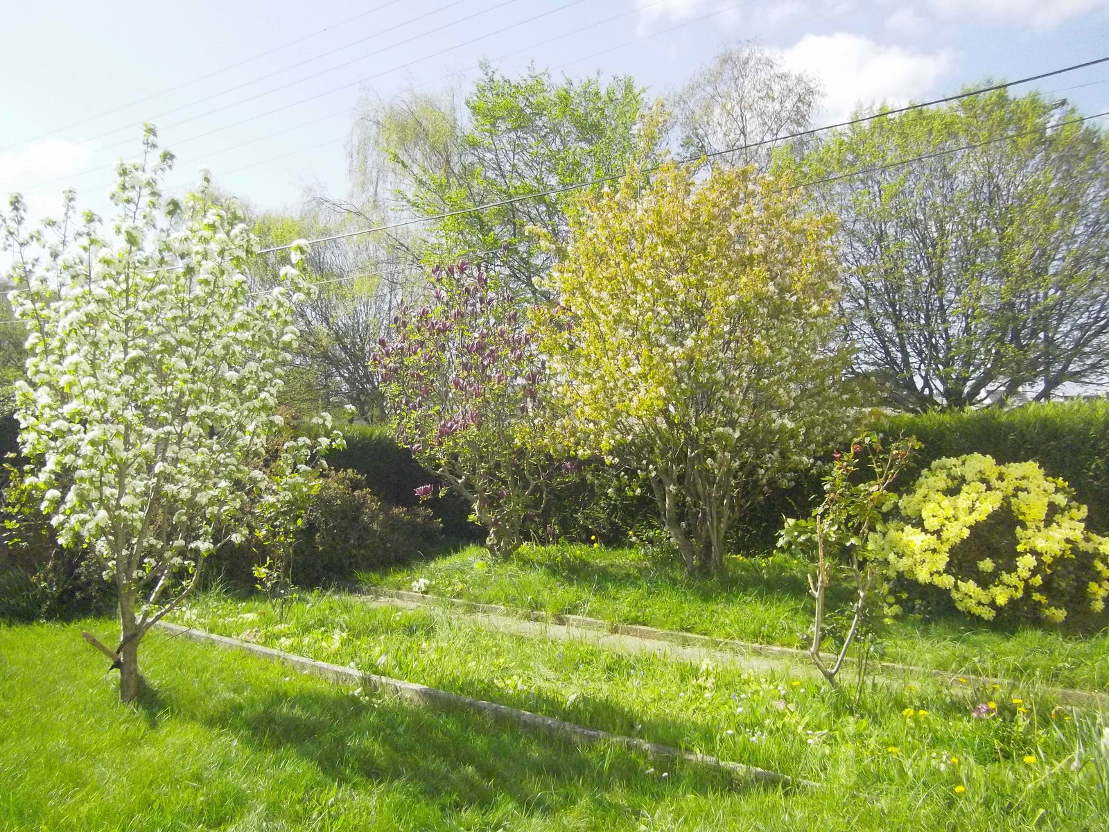 Collocazione Lorient 80029