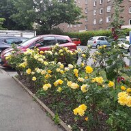 Collocazione La Madeleine 257261