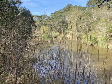 Chambre Chez L'habitant Capbreton 631957-11
