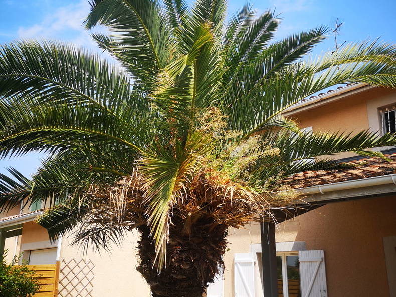 Chambre Chez L'habitant Eysines 244716-3