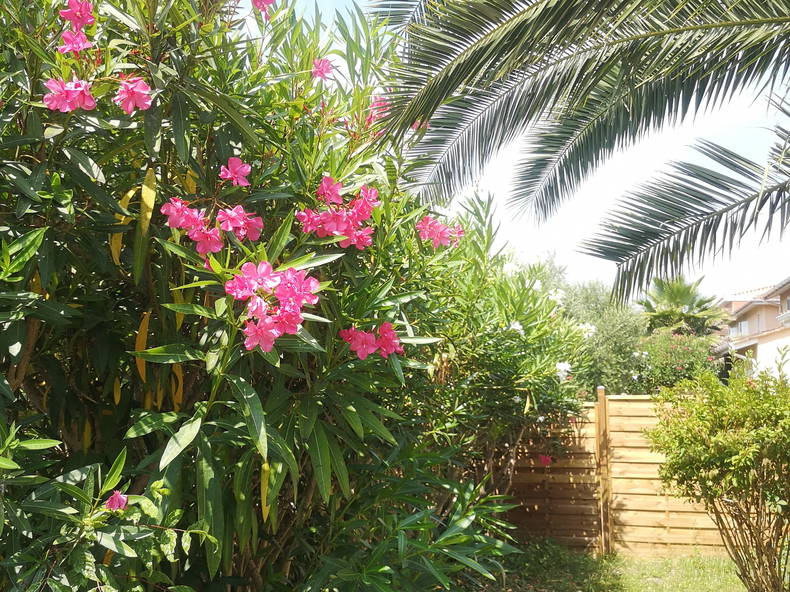 Chambre Chez L'habitant Eysines 244716-4
