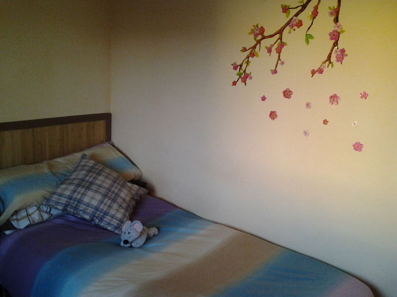 Colocation Sevilla 86863