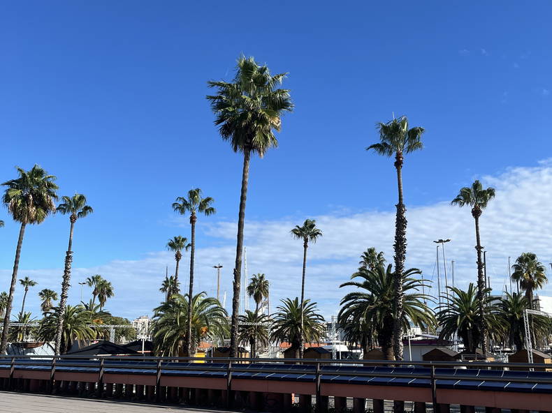 Homestay Sète 658991-2