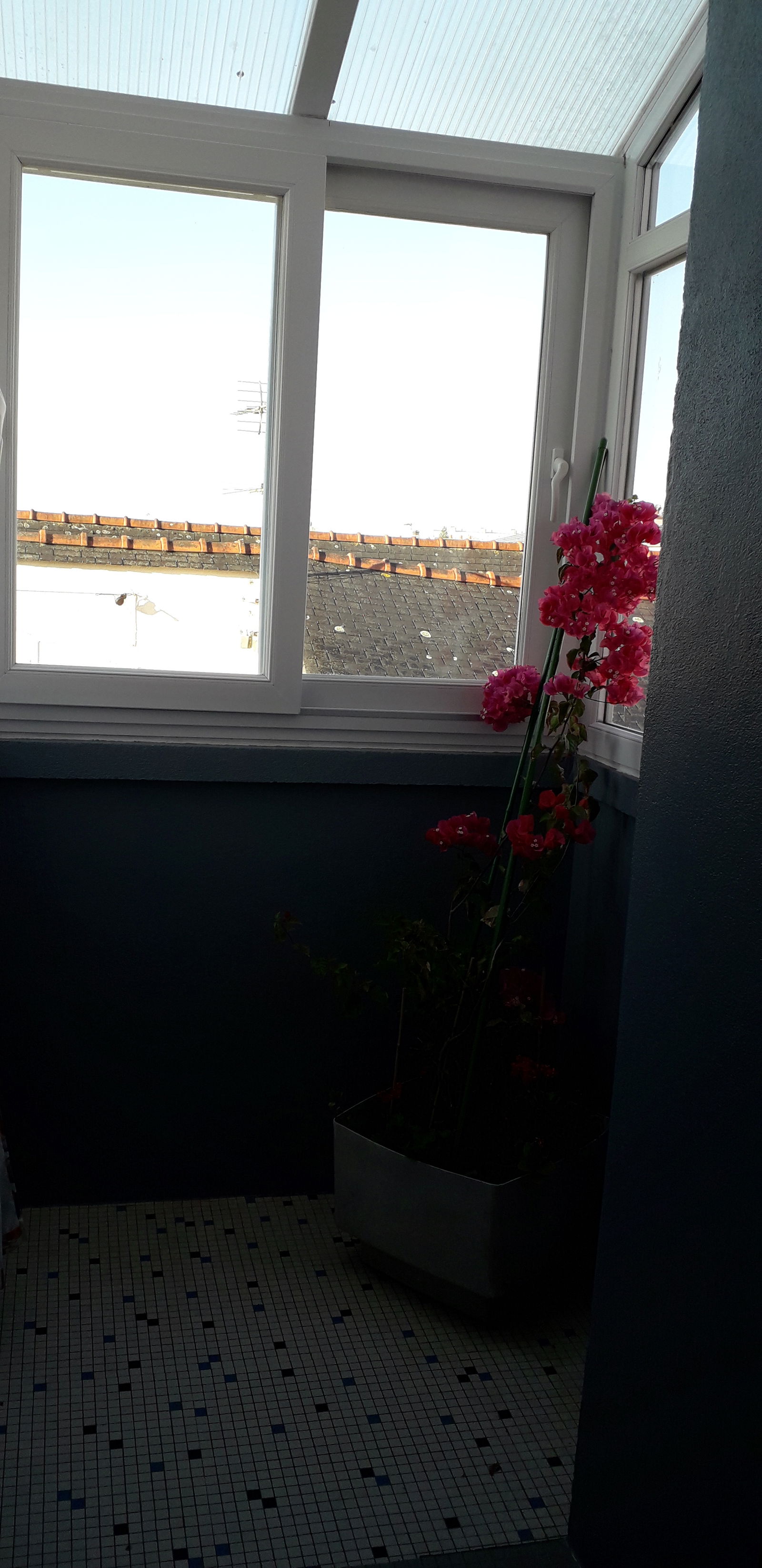 Colocation Brest 144437