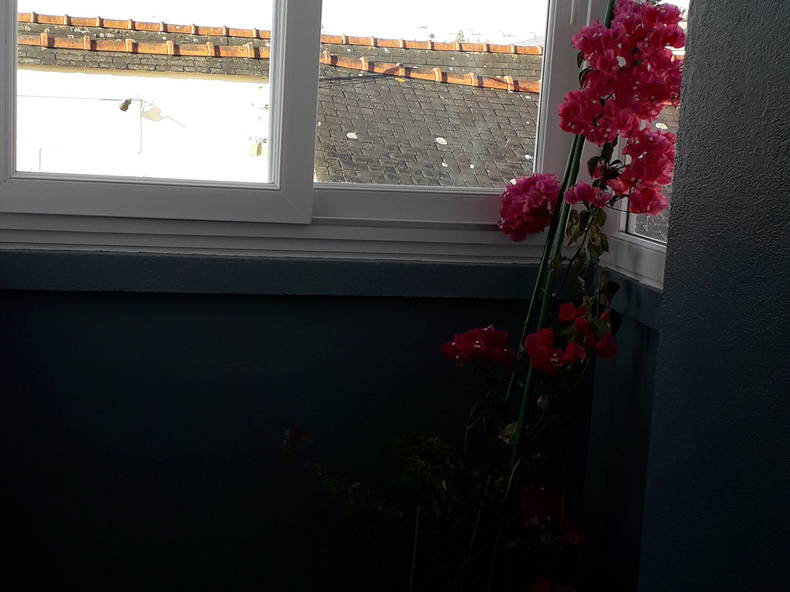 Kolokation Brest 144437-4