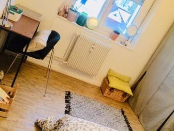 Chambre À Louer Mulhouse 251401