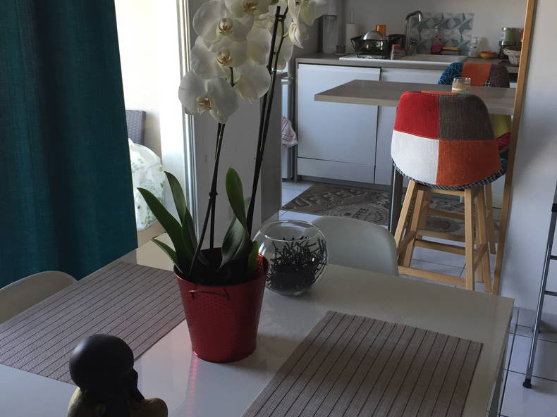 Homestay Villeurbanne 251940-4