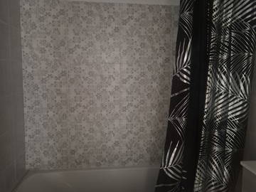 Chambre chez l'habitant à louer à Saint-Georges-D'espéranche - photo 3 : salle de bain-3