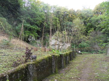 Chambre À Louer Rochecorbon 116747