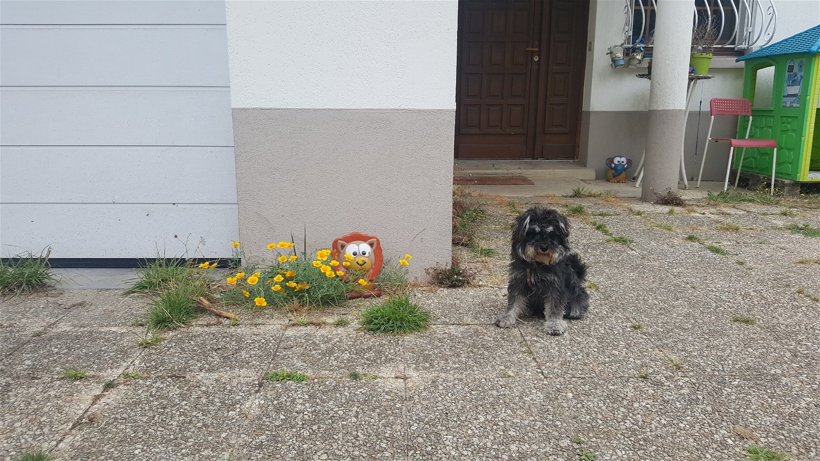 Gastgezin Vitry-sur-Seine 217681