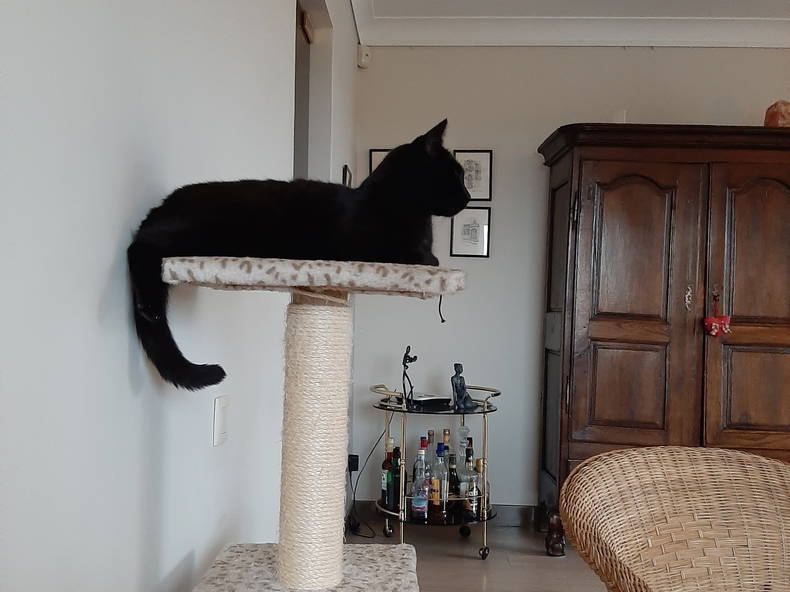 Homestay Waremme 239334-2