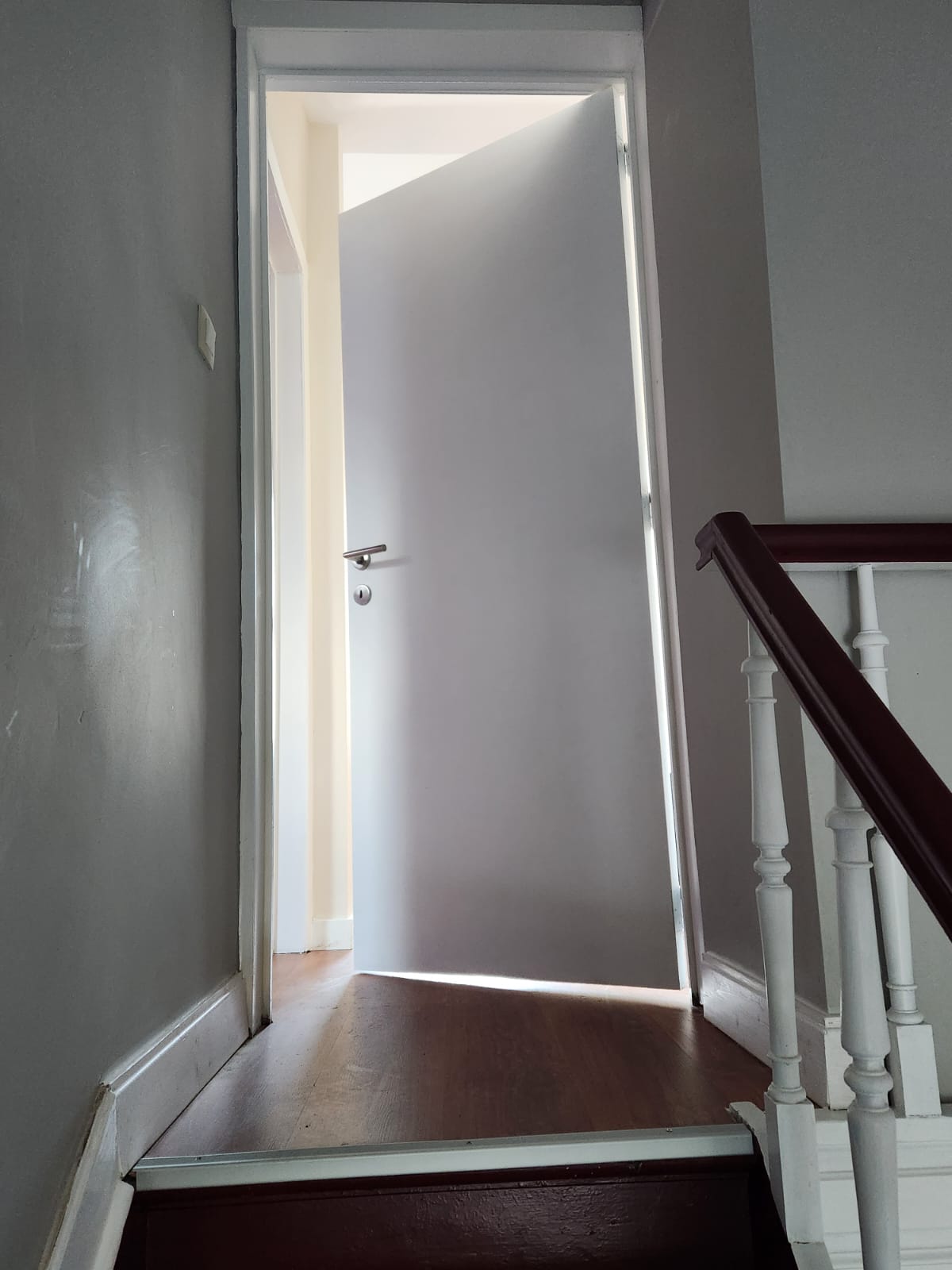 Colocación Mons 268755