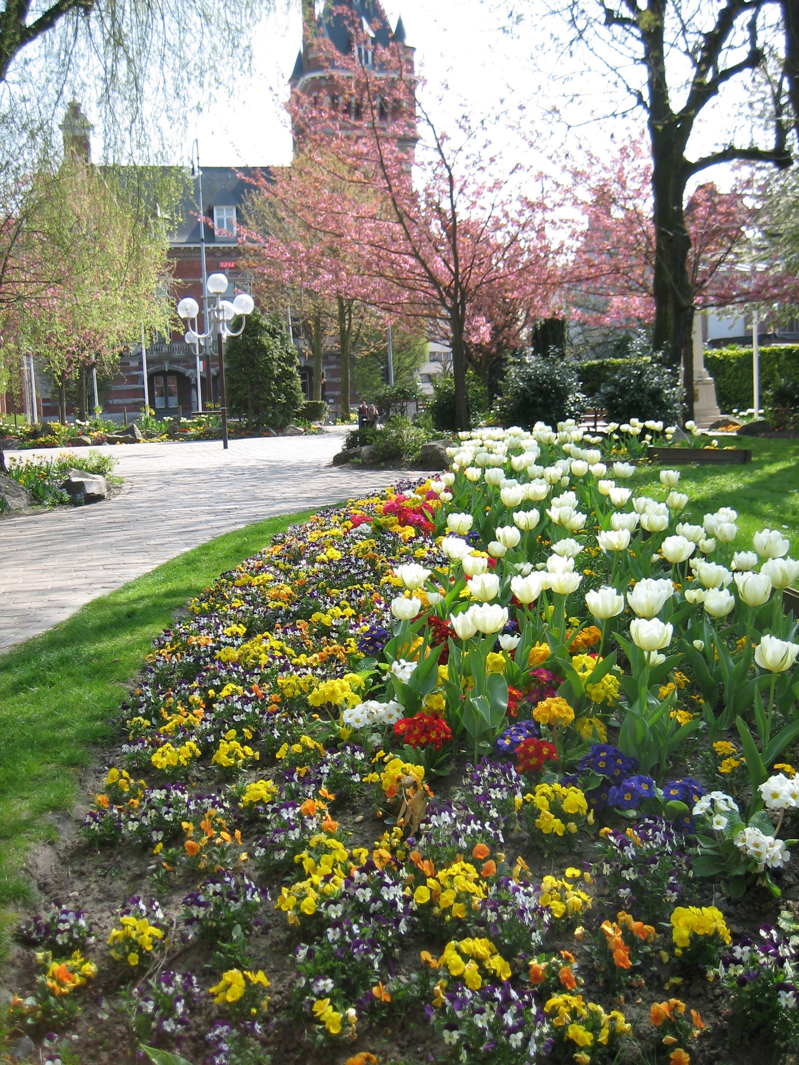 Colocación La Madeleine 257264