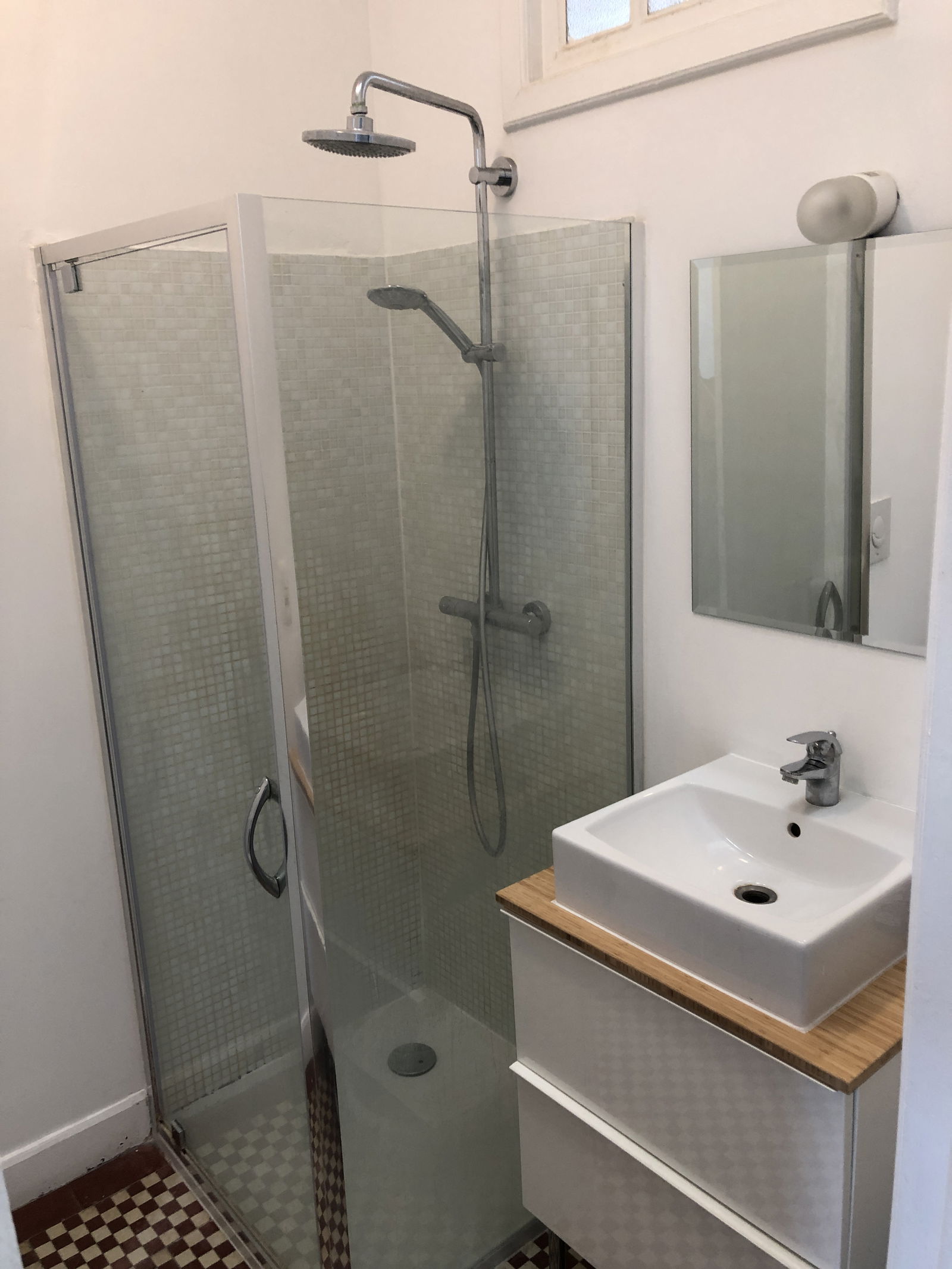 Kolokasie Tournai 261975