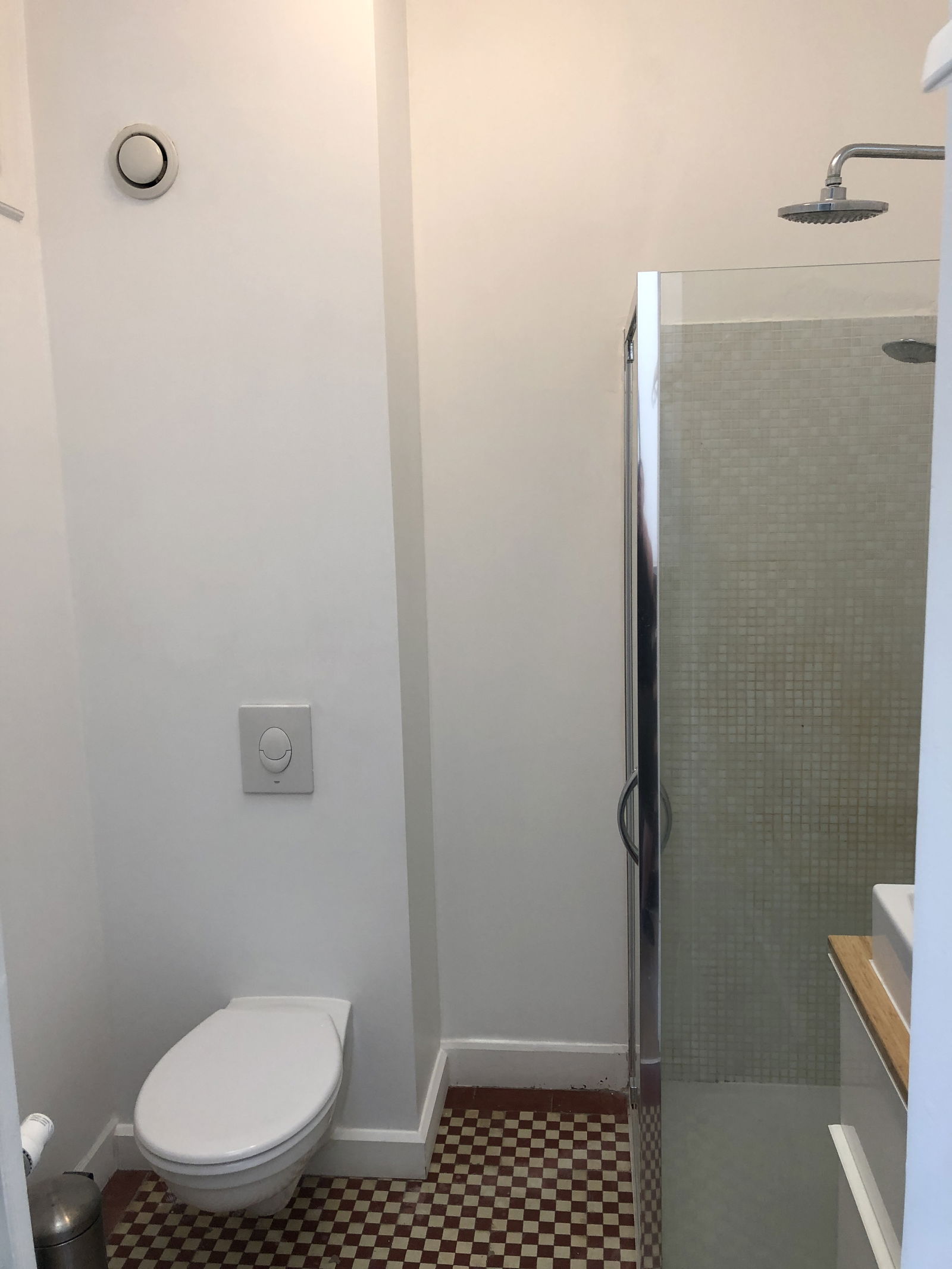 Kolokasie Tournai 261975