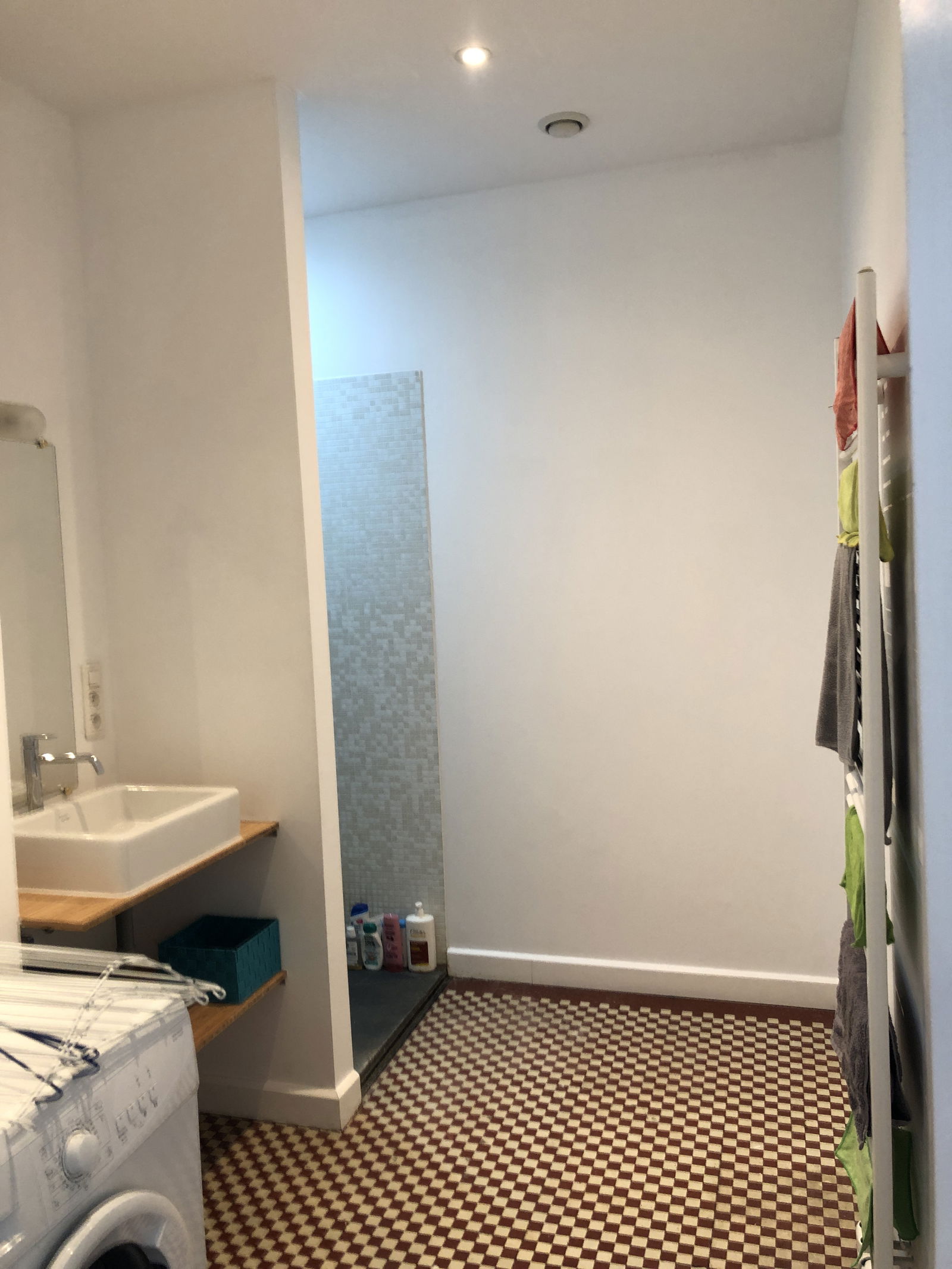 Kolokasie Tournai 261975