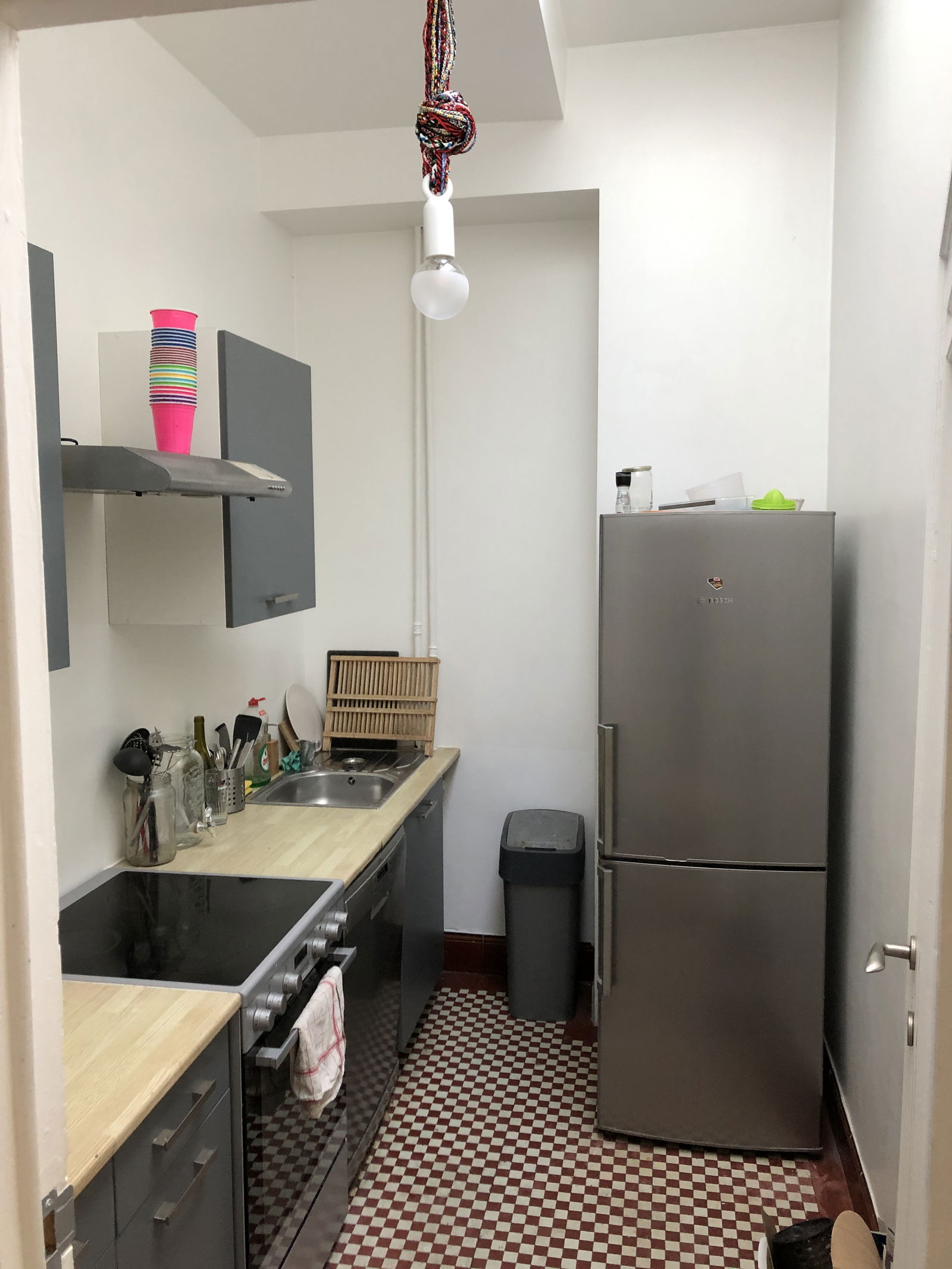 Kolokasie Tournai 261975