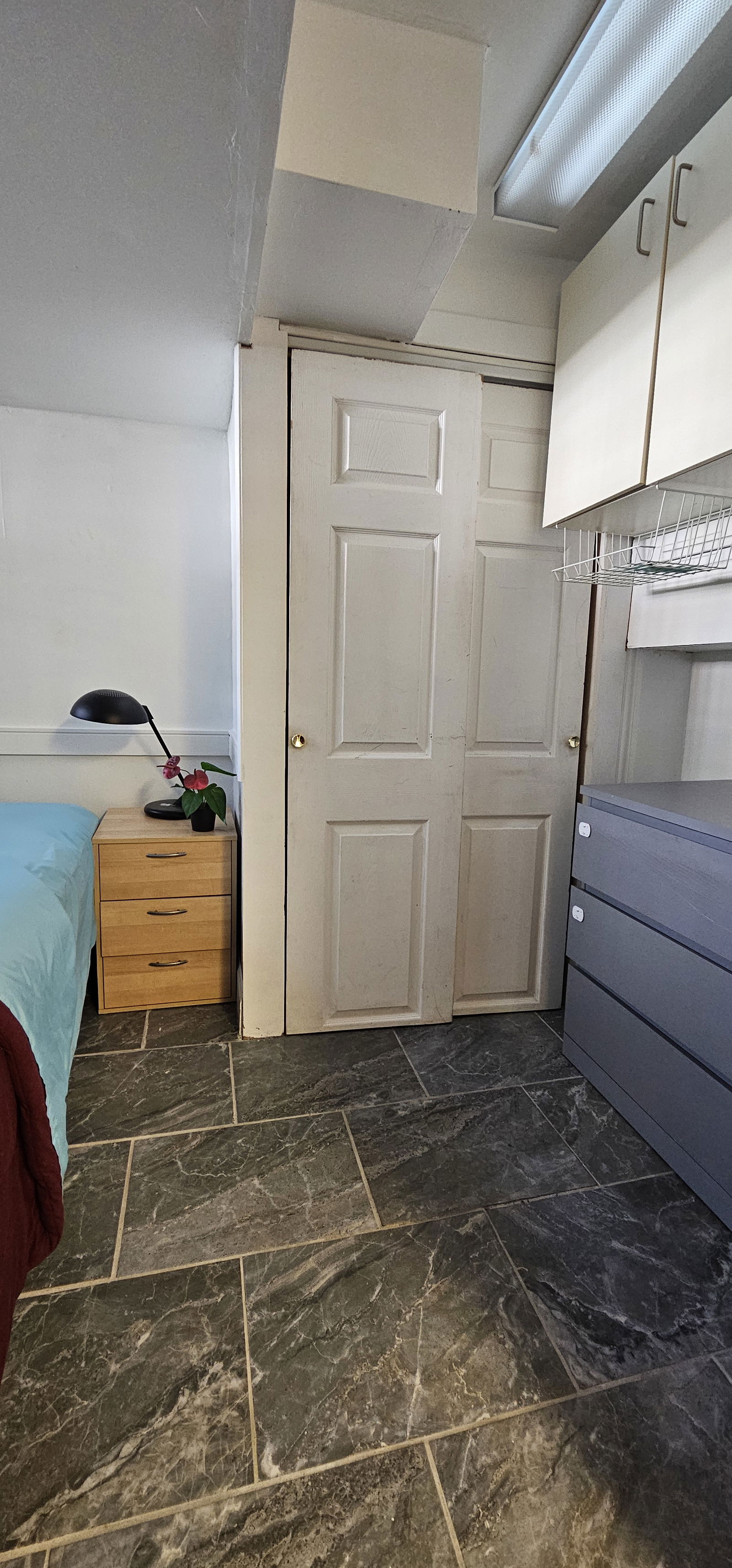 Colocación Montréal 564440