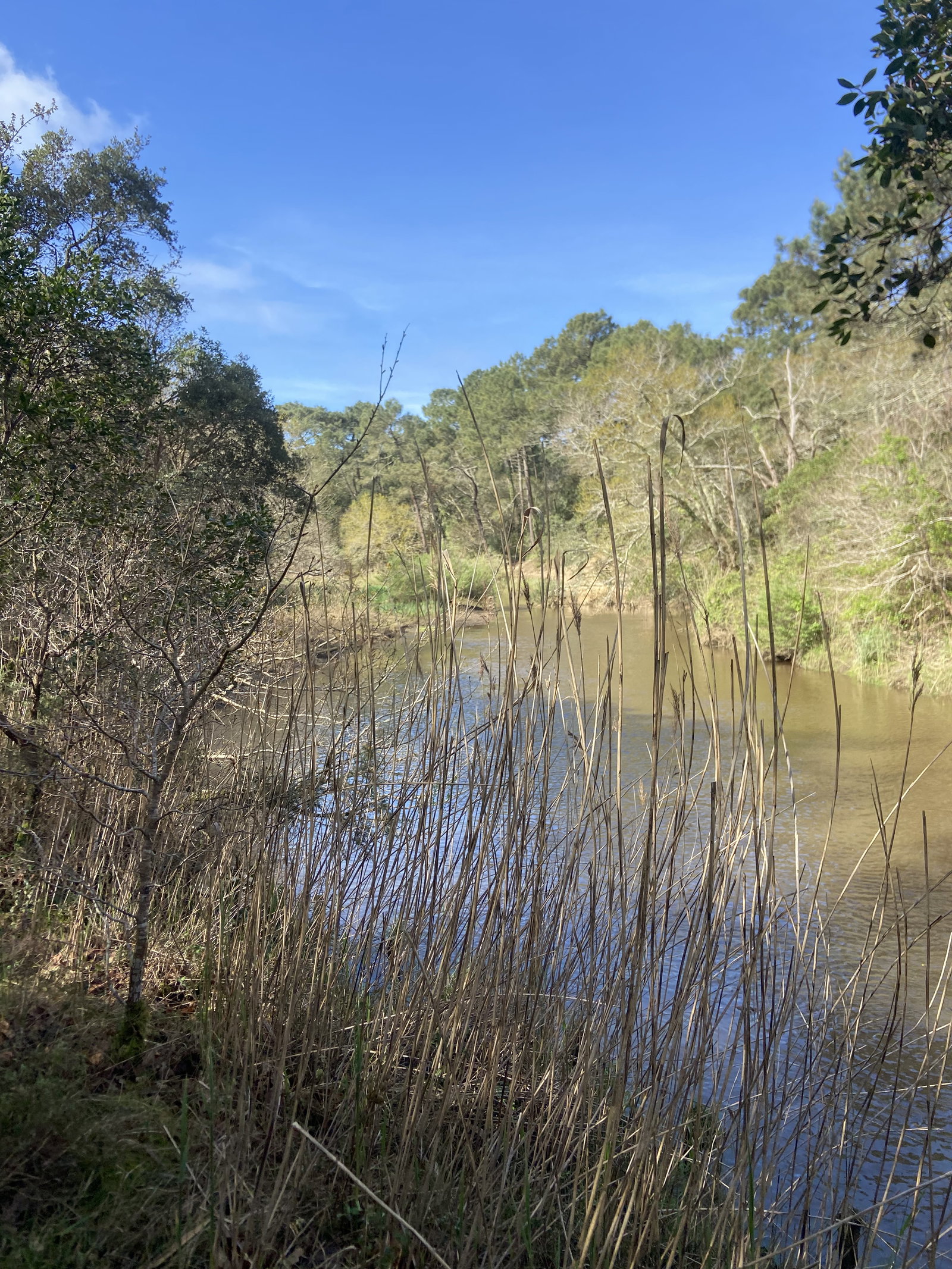 Gastgezin Capbreton 631957