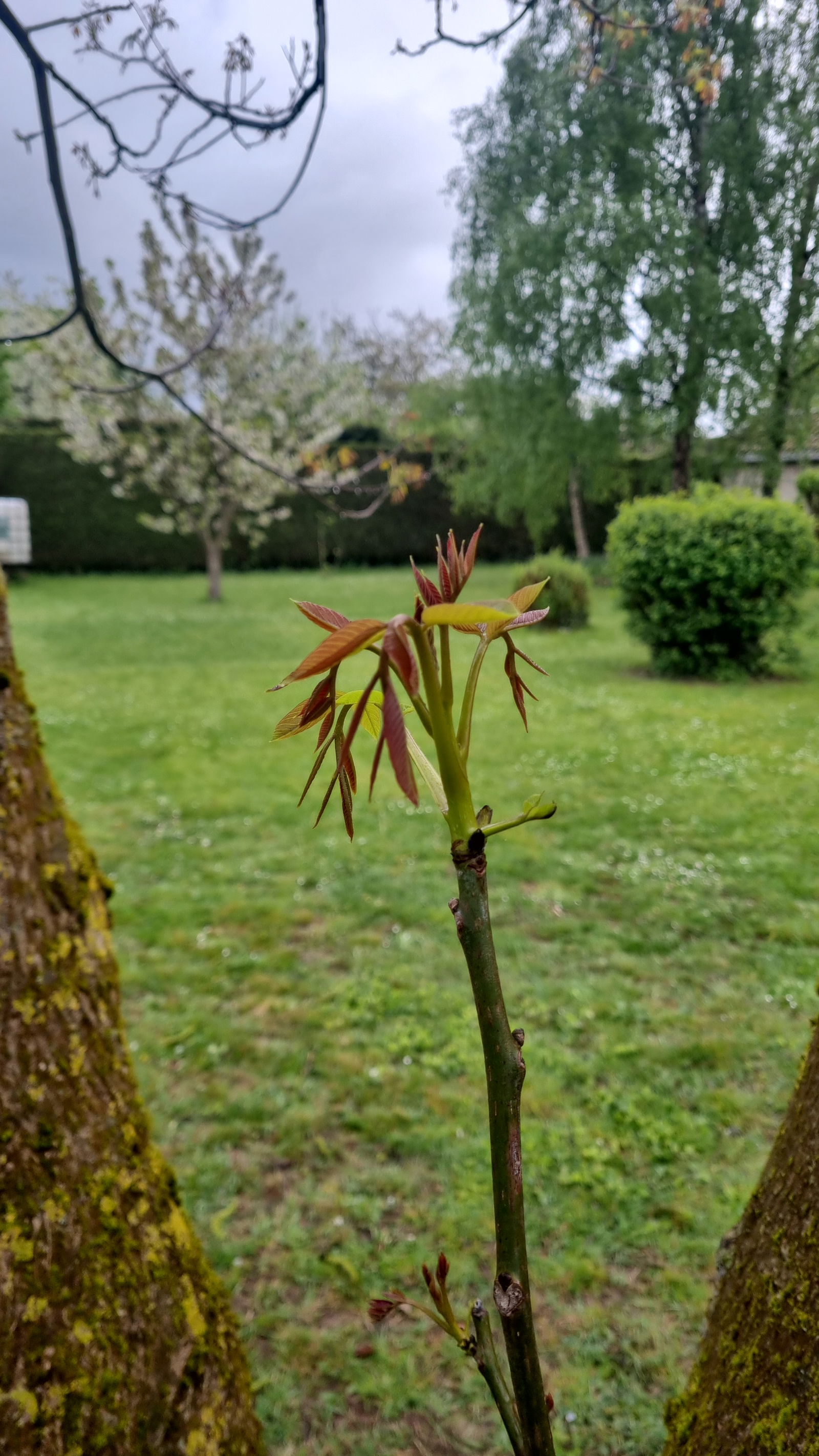 Tuisverblyf Mignières 517827