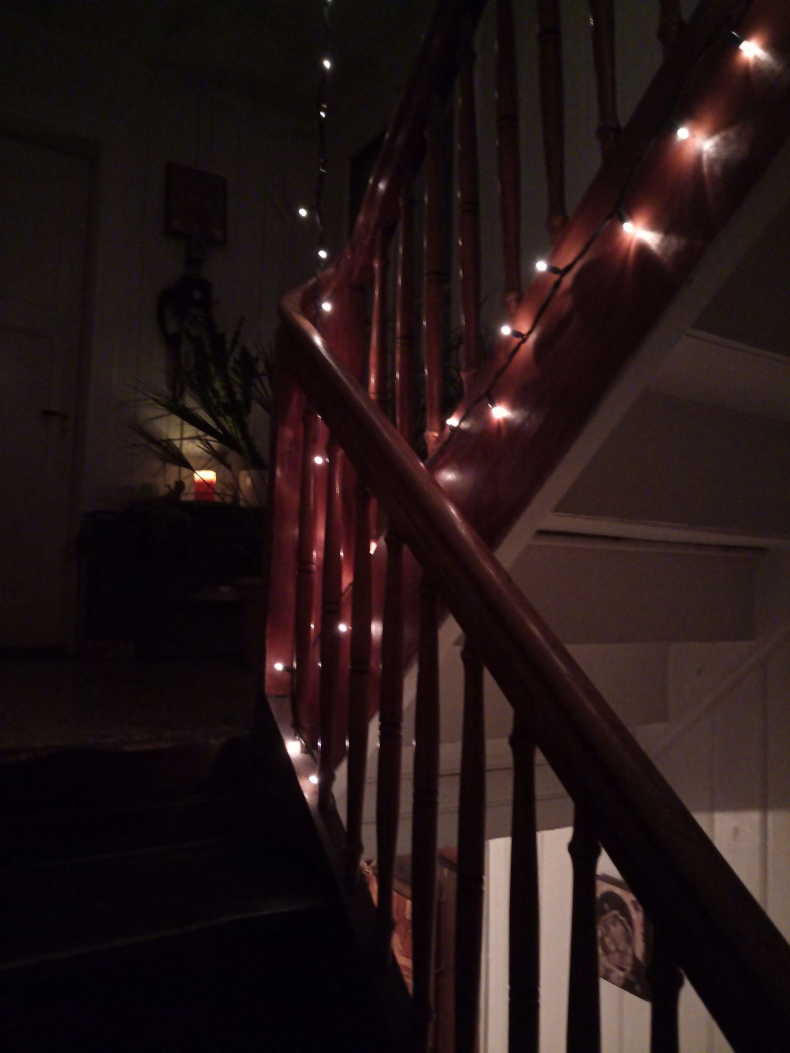 Homestay Fribourg 249429