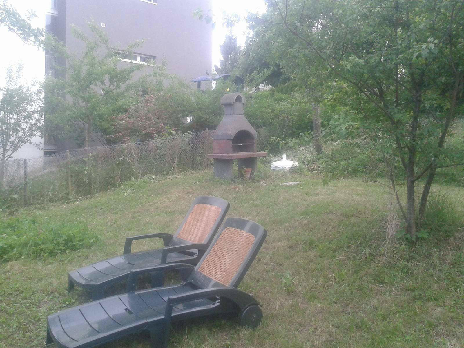 Gastgezin Fribourg 249429