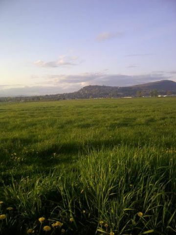 Homestay Abbotsford 113550