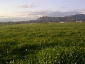 Homestay Abbotsford 113550-3