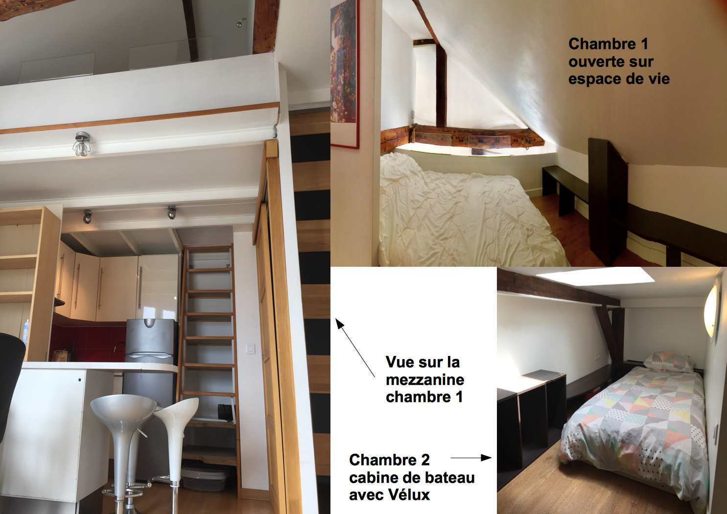 Colocation Paris 246777