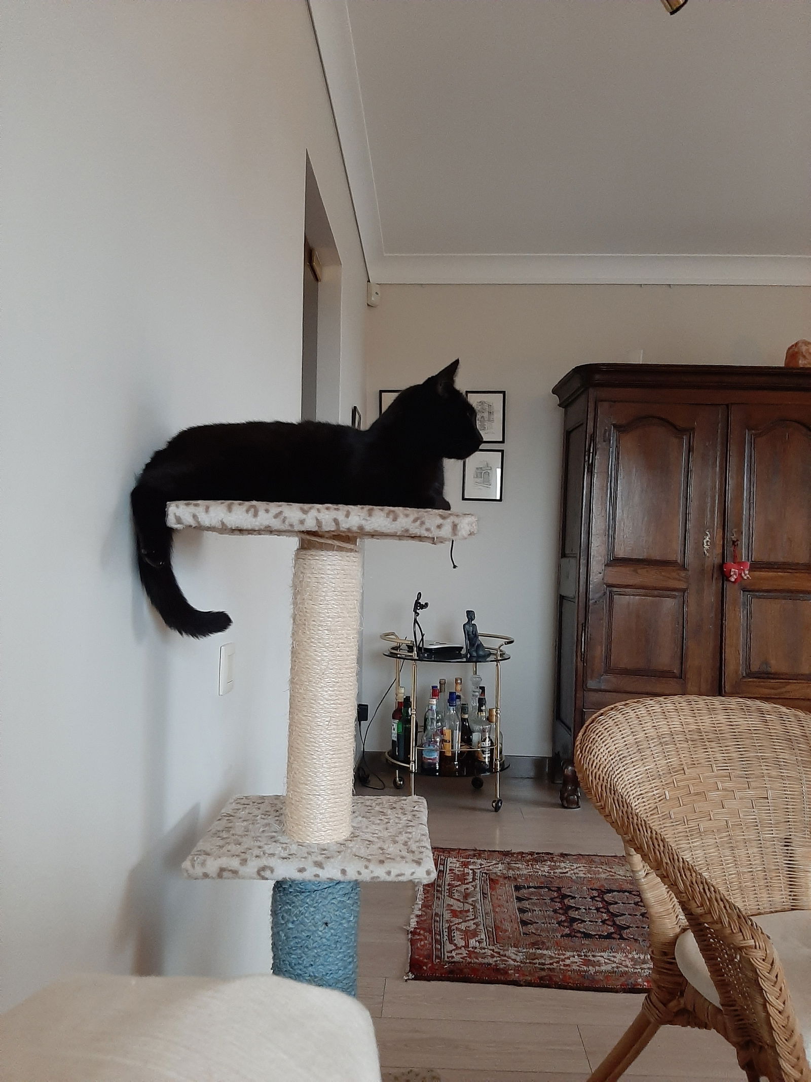 Tuisverblyf Waremme 239334