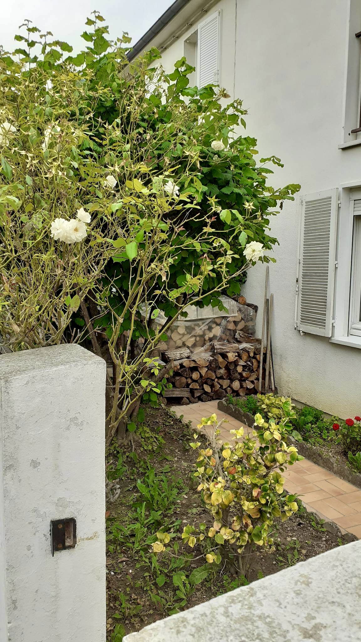 Hospedagem Em Casa De Família Saint-André-les-Vergers 397148