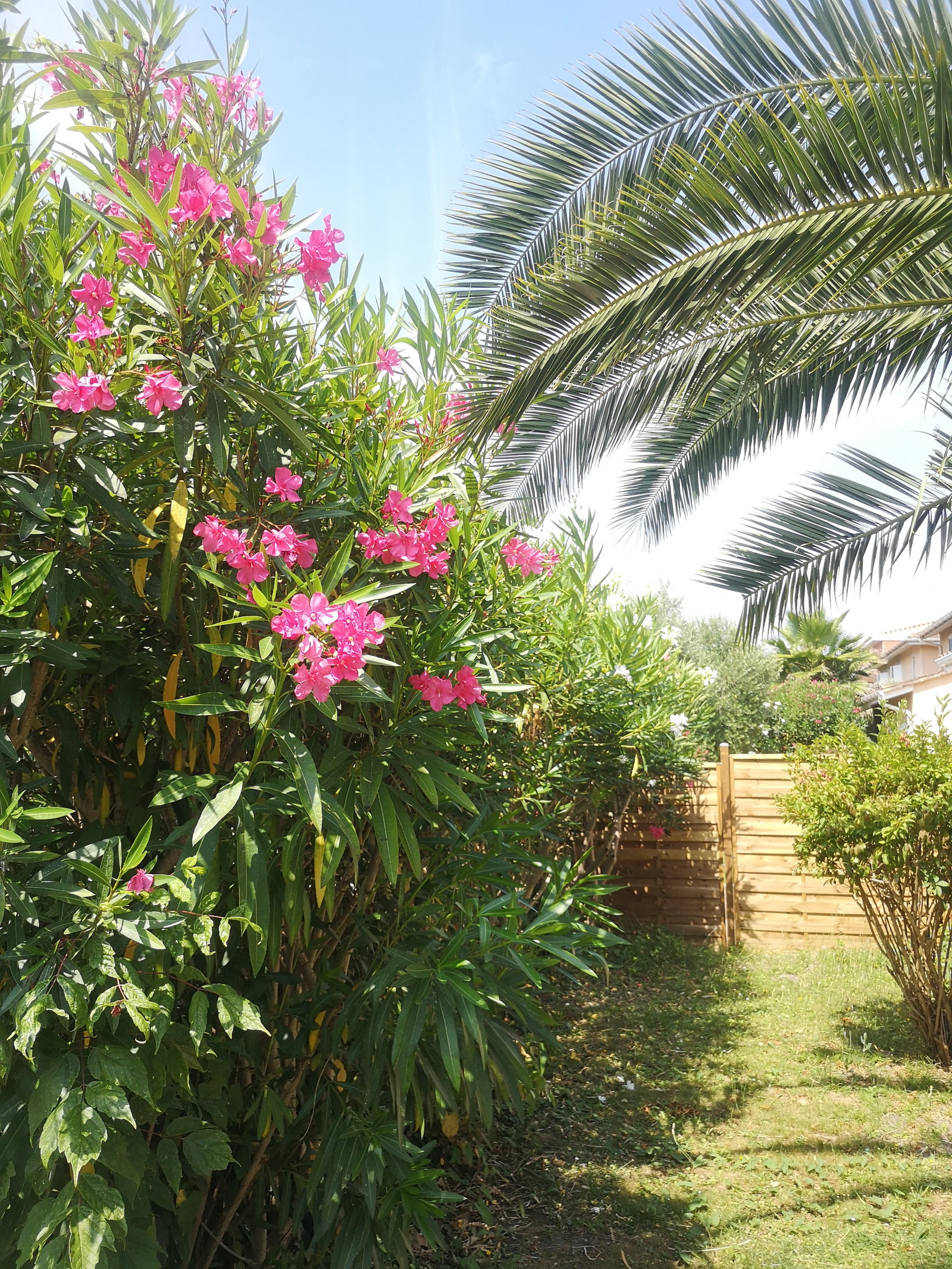 Homestay Eysines 244716