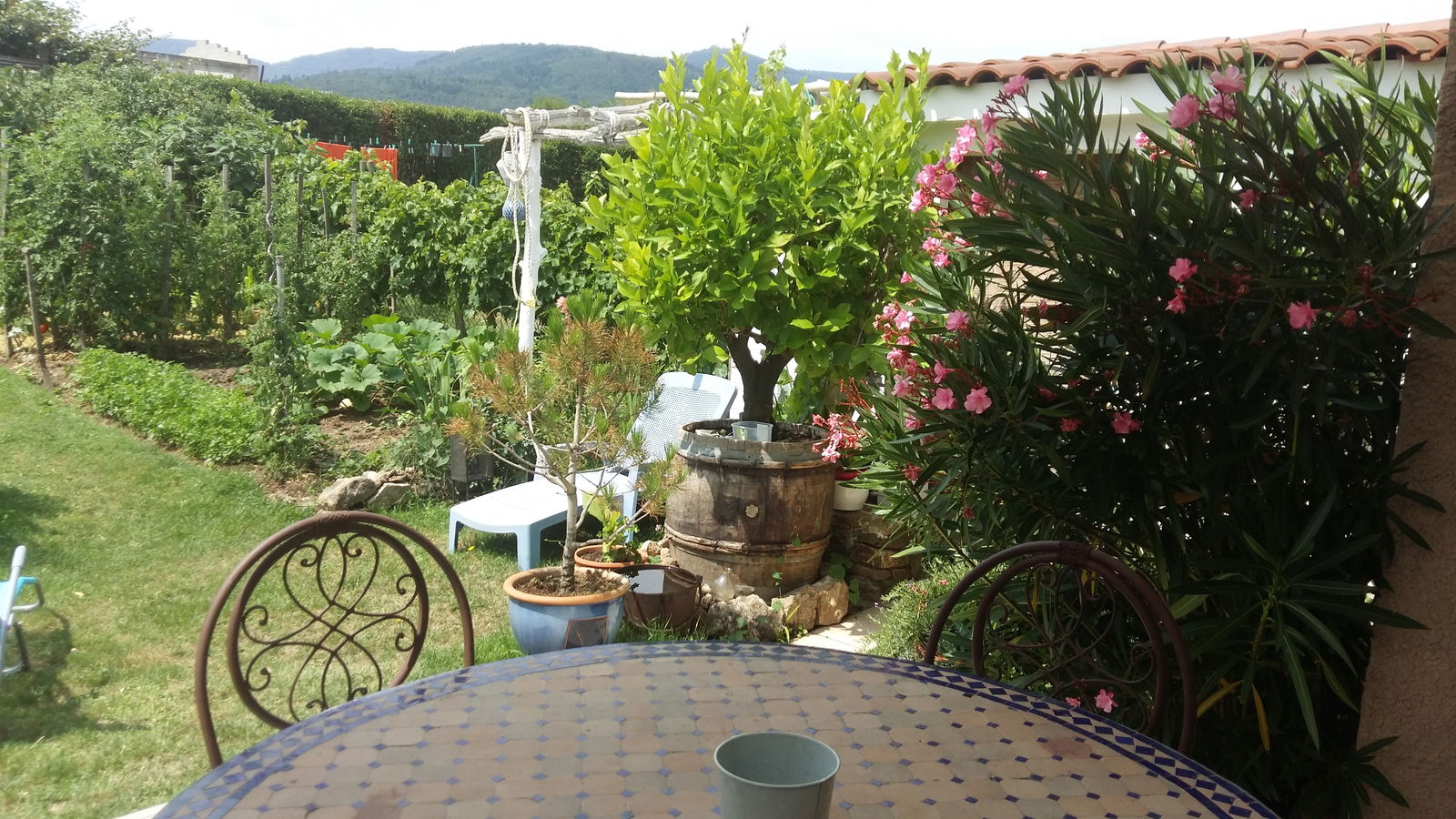 Homestay Lupé 81645