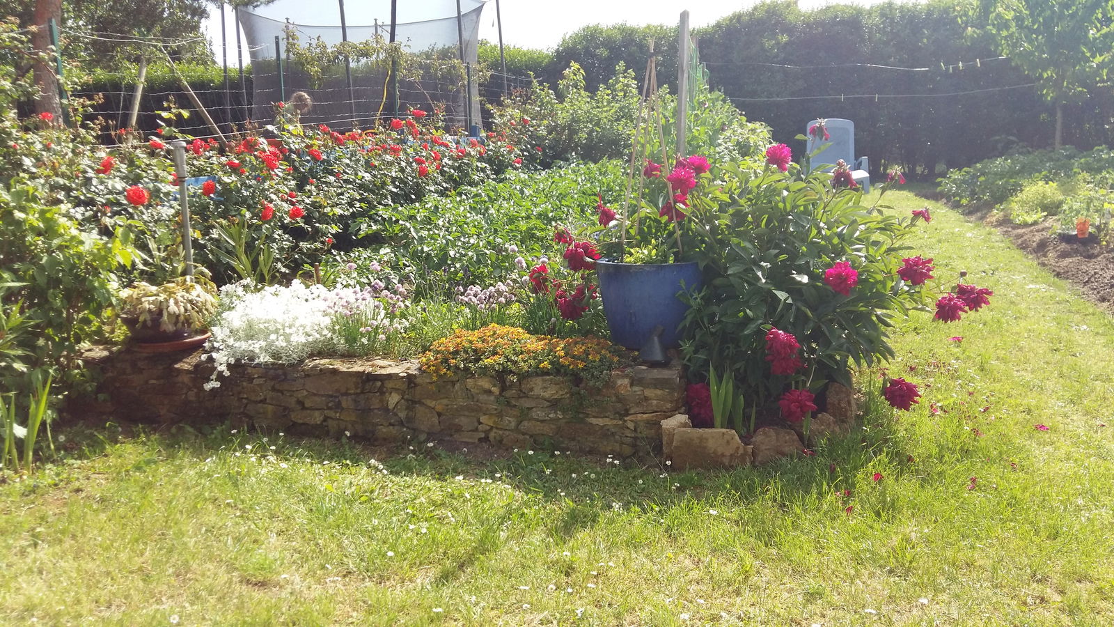 Homestay Lupé 81645