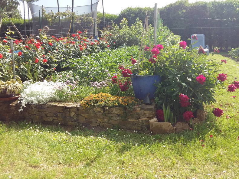 Gastfamilie Lupé 81645-4