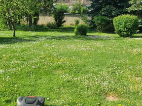1 room for rent on the ground floor