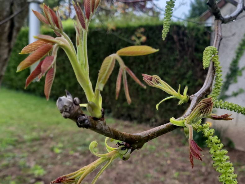 Quedarse En Casa Mignières 517827-2