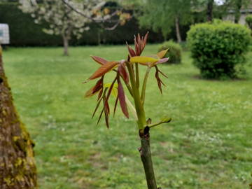 Chambre Chez L'habitant Mignières 517827-4