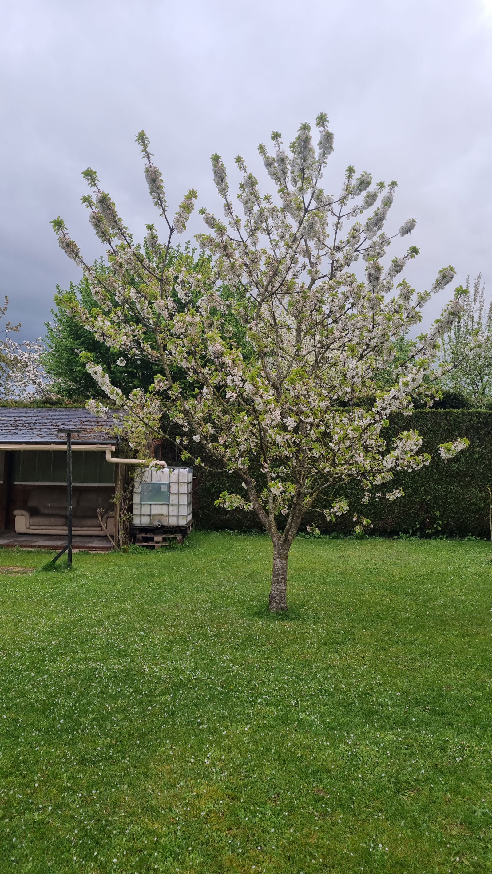 Homestay Mignières 517827